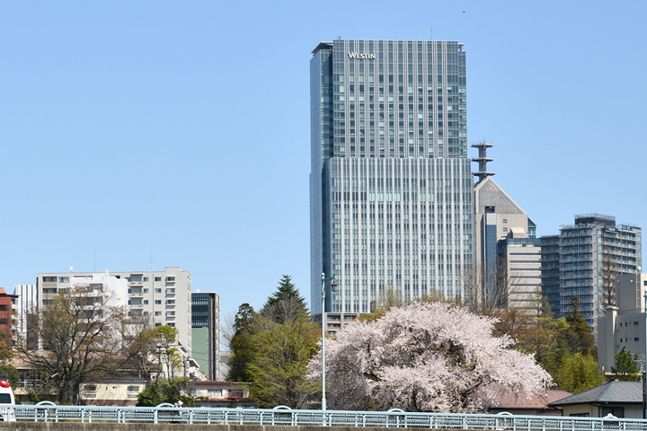 税理士法人MSAパートナーズ 仙台オフィス